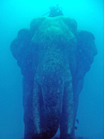 Elephant at Phuket diving park